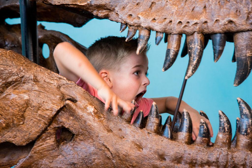 a kid inside dinosaur jaw