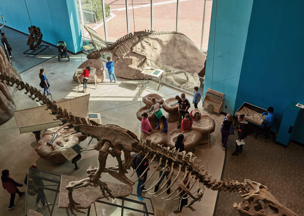 Dig for dinosaurs at the Maryland Science Center