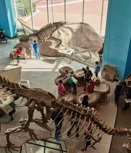 Dig for dinosaurs at the Maryland Science Center