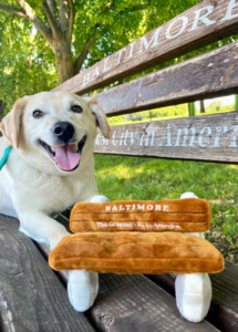 Dog poses with Greatest City in America toy on Baltimore bench