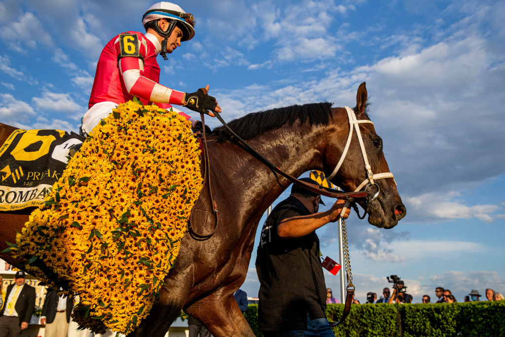 Horse and jockey with blanket of Black-eyed susans