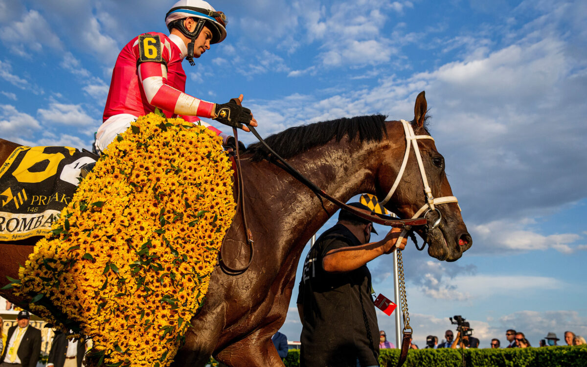 Horse and jockey covered in flowers