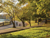 Best Parks and Scenic Running Paths in Baltimore