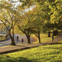 Best Parks and Scenic Running Paths in Baltimore