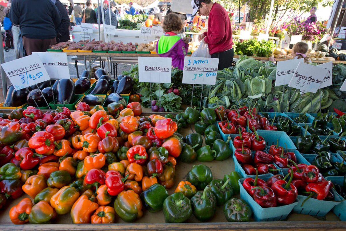 Colorful vegetables at the Farmers Market in Baltimore at the 32nd Street Market.