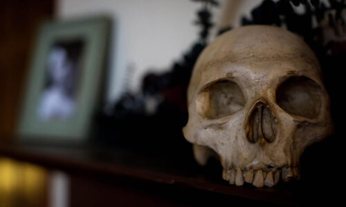 A close up of a skull inside Poe's House in Baltimore.