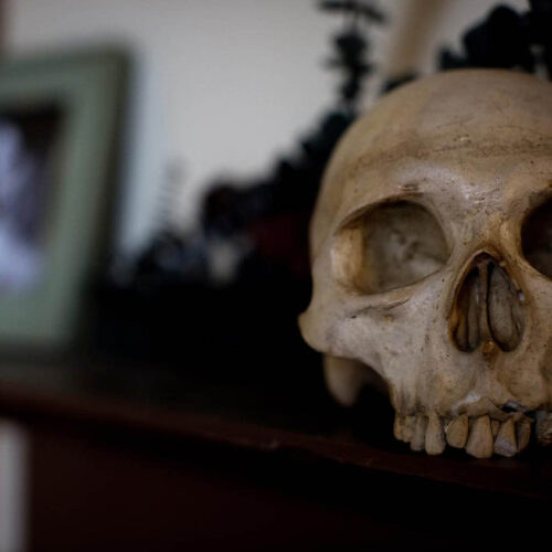A close up of a skull inside Poe's House in Baltimore.