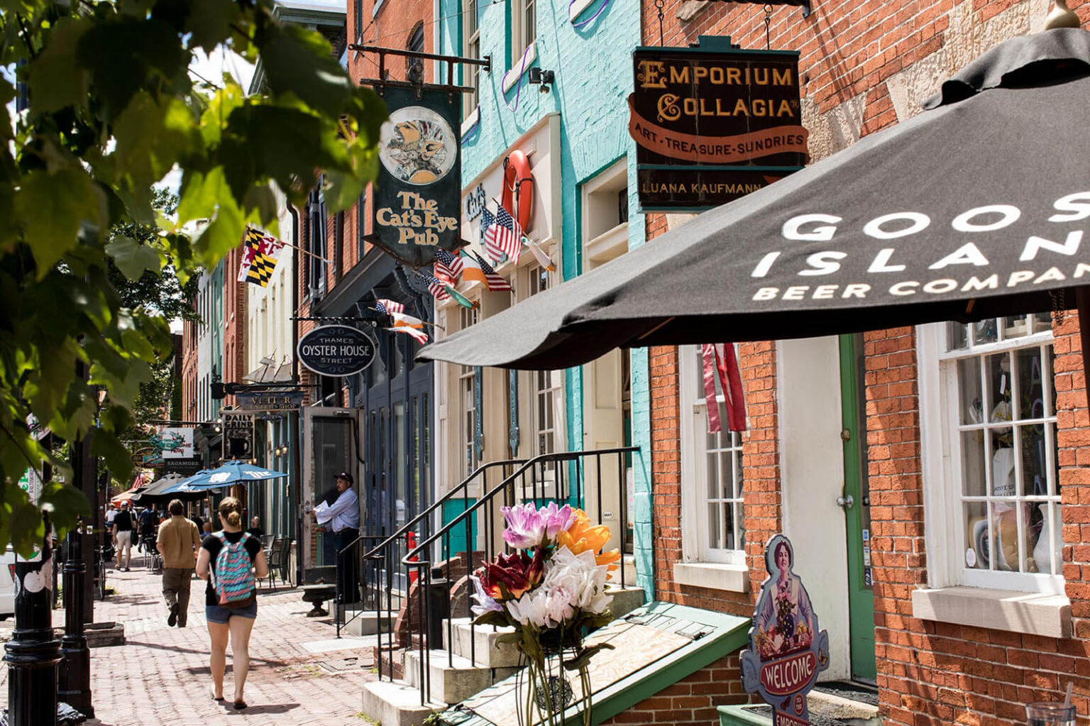 The Best Sightseeing Tours in Baltimore Visit Baltimore