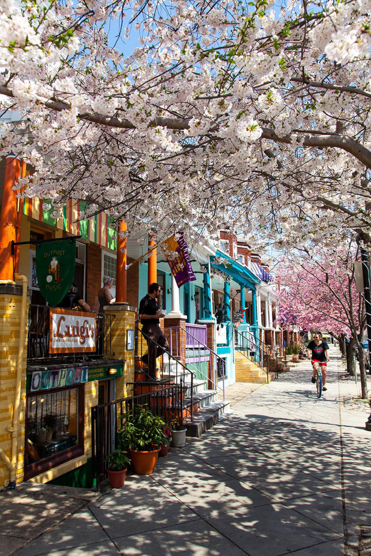 Looking down the street during the spring in Hampden, Baltimore.