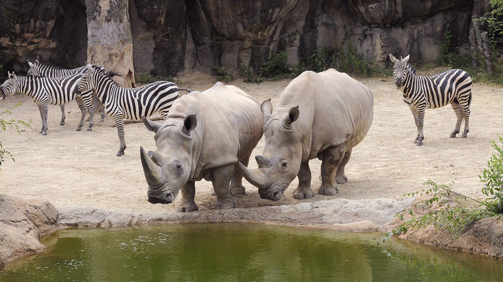 Plan Your Visit to the Maryland Zoo | Visit Baltimore