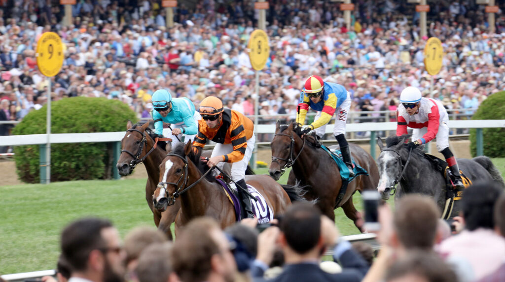 Preakness stakes horses.