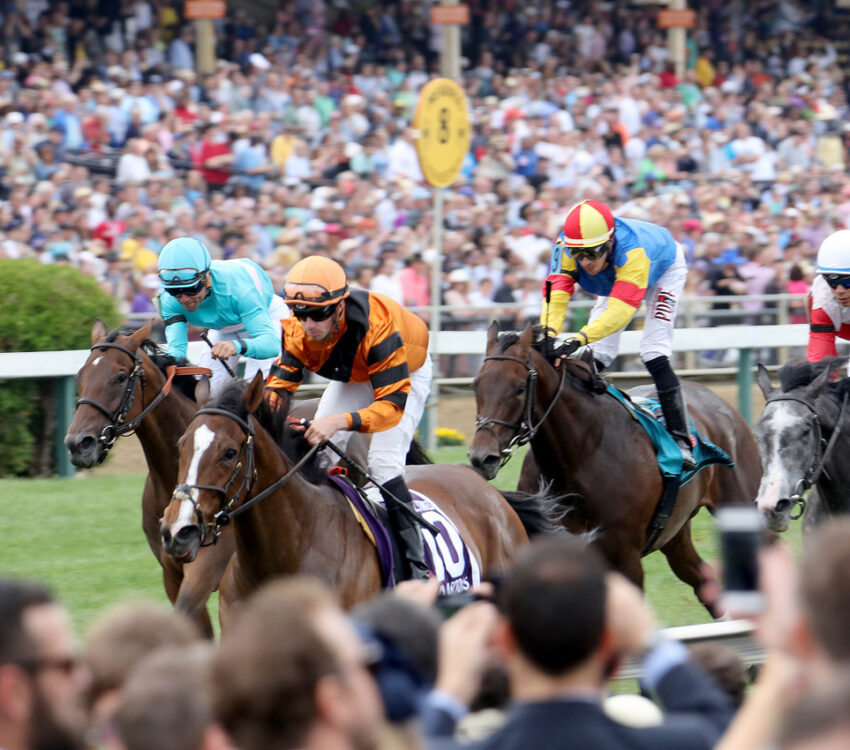Preakness stakes horses.