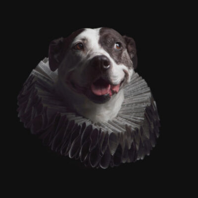 the Puptrait Studio