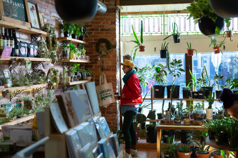 Interior of B. Willow plant store