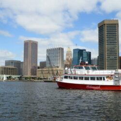 Cruises on the Bay by Watermark