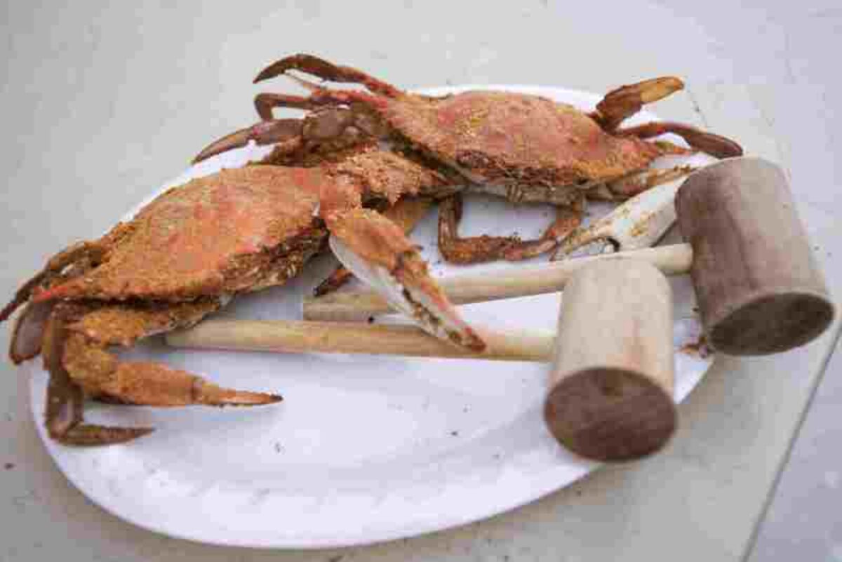 crabs and hammers