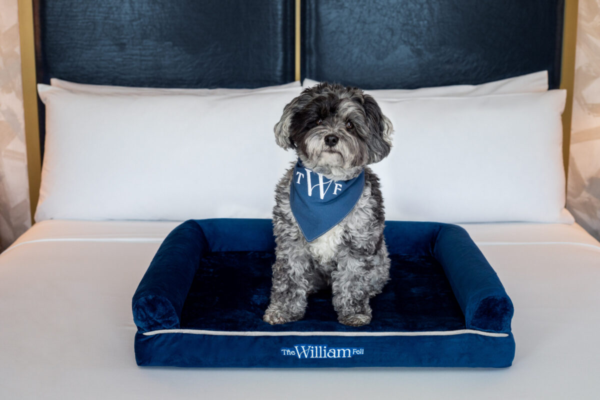 At The William Fell Baltimore, Tapestry Collection by Hilton, we believe that your furry friends deserve to experience the charm of Baltimore with you. Our pet-friendly accommodations are thoughtfully designed to ensure both you and your pet feel right at home. Spacious, comfortable, and welcoming, these rooms offer all the modern amenities you need while providing a cozy space for your pet to relax. Whether you're exploring the city or enjoying a quiet stay, our pet-friendly rooms ensure a memorable experience for you and your four-legged companion.