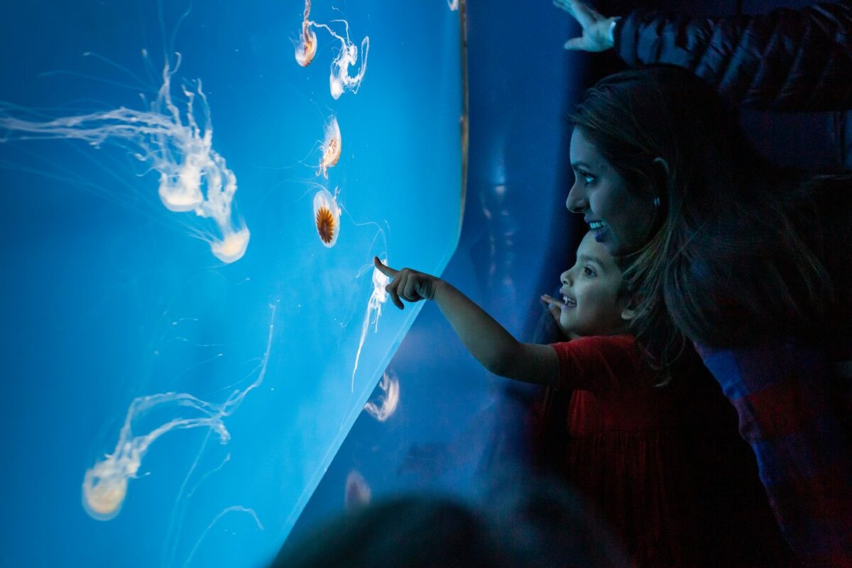 National Aquarium Baltimore Bag Policy