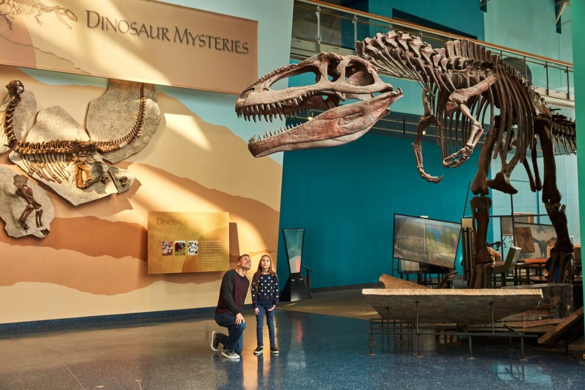 dinosaur bones at the Maryland Science Center