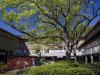 Delta Baltimore North