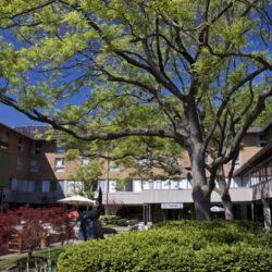 Delta Baltimore North