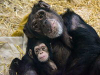 Maryland Zoo In Baltimore