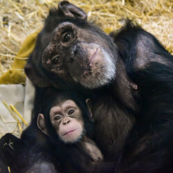 Maryland Zoo In Baltimore
