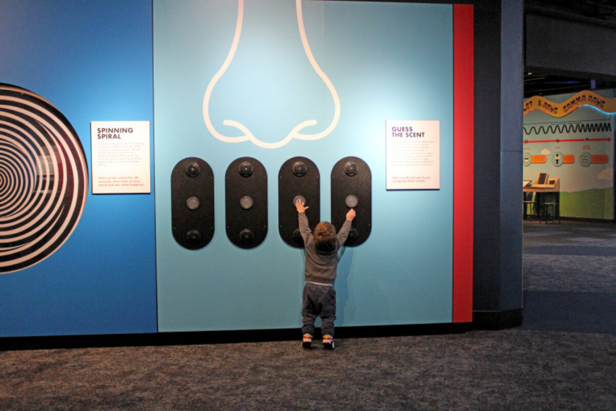 a little boy enjoying an exhibit at the Maryland Science Center