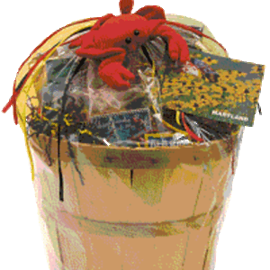 Black Eyed Susan Coffee Candy Cream & More