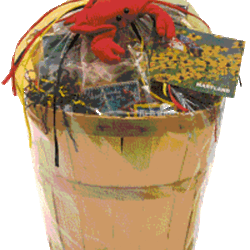 Black Eyed Susan Coffee Candy Cream & More