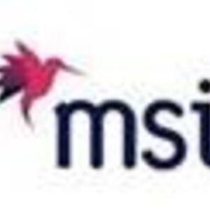 Meeting Solutions, Inc.