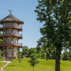 Friends of Patterson Park