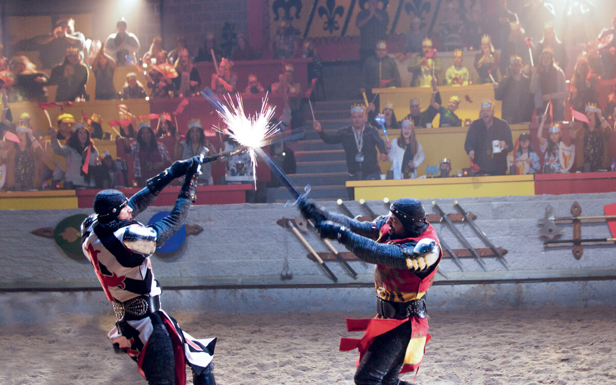 Knights sword fighting