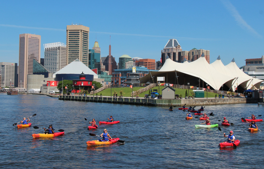 A group of kayaks floating in the Inner Harbor in front of the city skyline