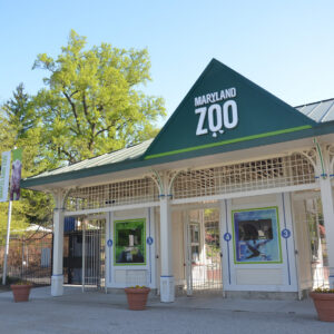 Plan Your Visit to the Maryland Zoo