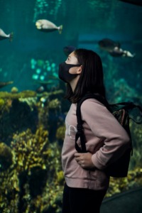 Young woman exploring National Aquarium
