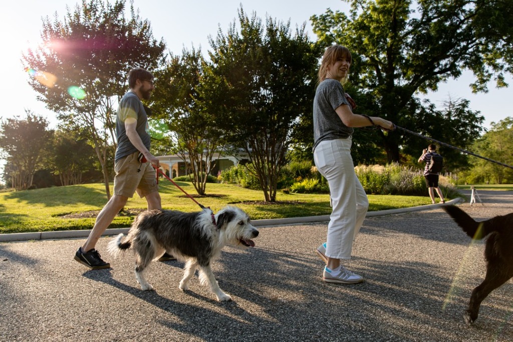 Man and woman walk dogs at Cylburn Arboretum