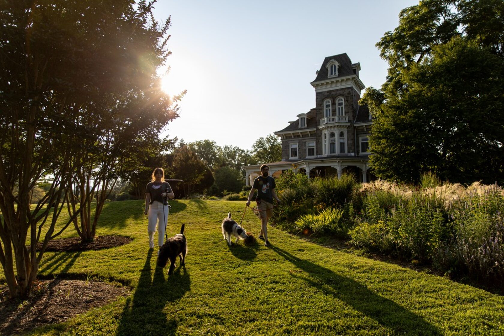 These Are the Best Pet-Friendly Hotels in the West with Amazing Amenities