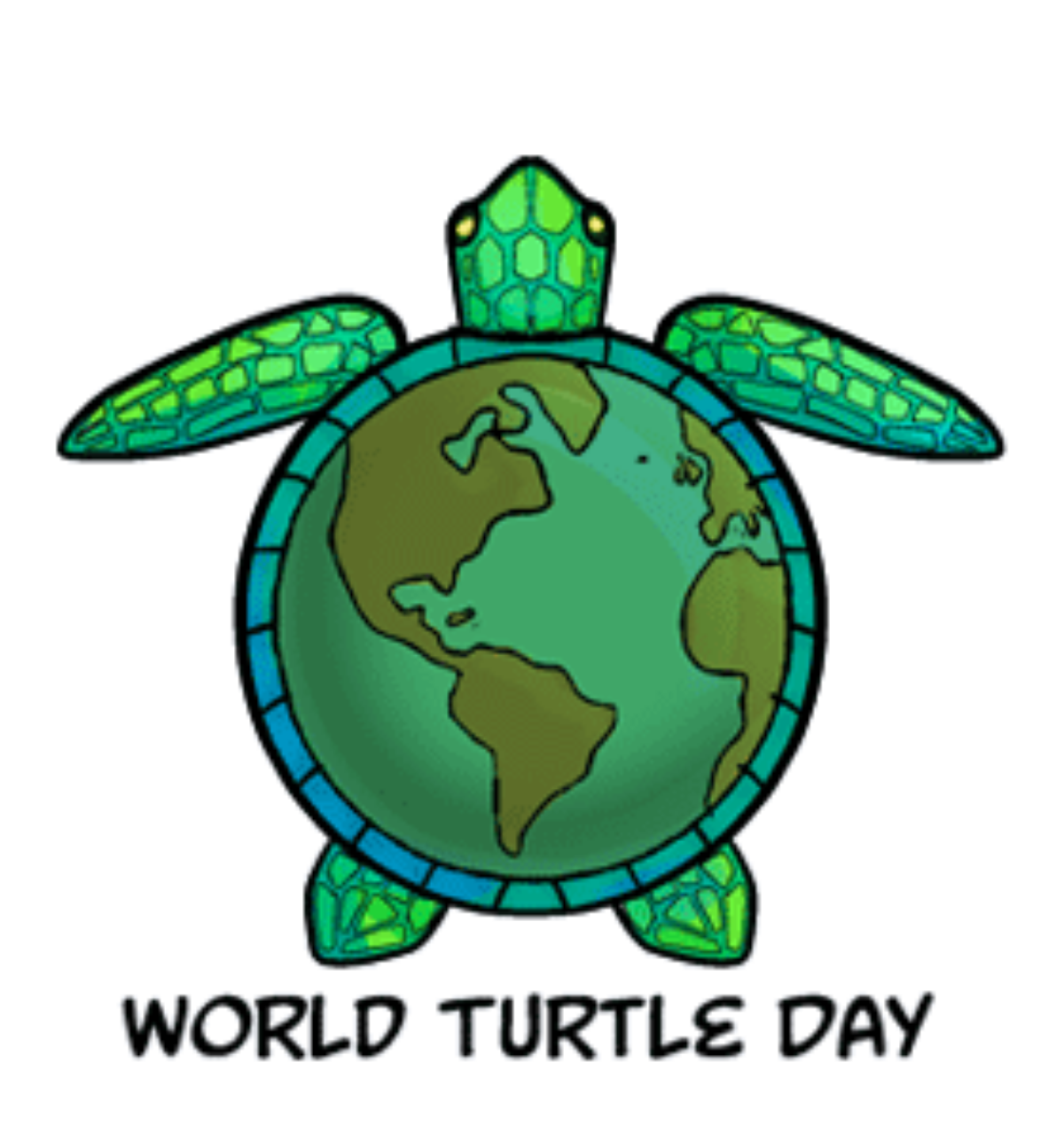 2nd Annual World Turtle Day Visit Baltimore