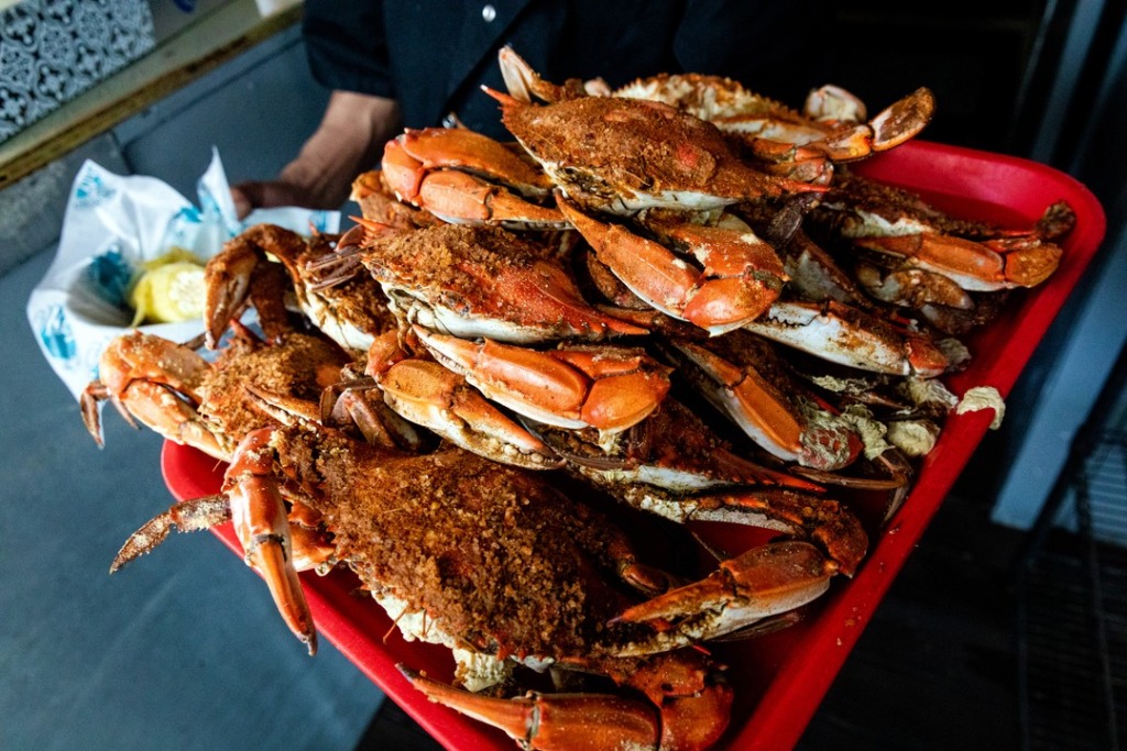 Server carries steamed crabs on tray