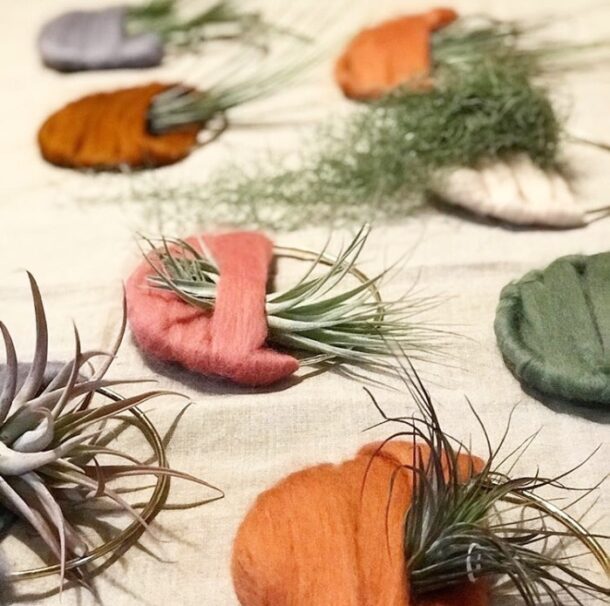 Air Plant Home Workshop