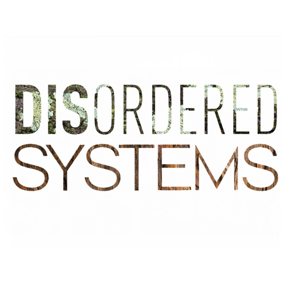 Exhibition: DISordered Systems
