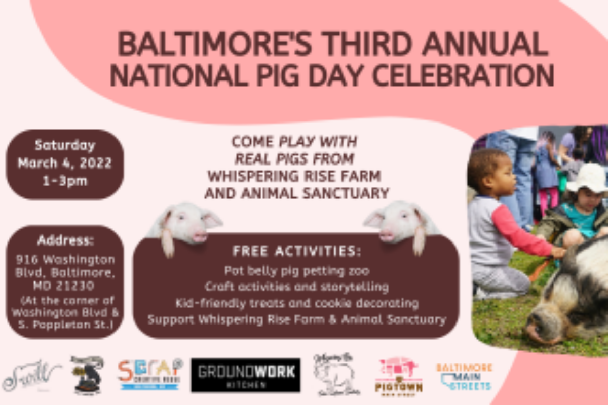 Third Annual National Pig Day Celebration Visit Baltimore