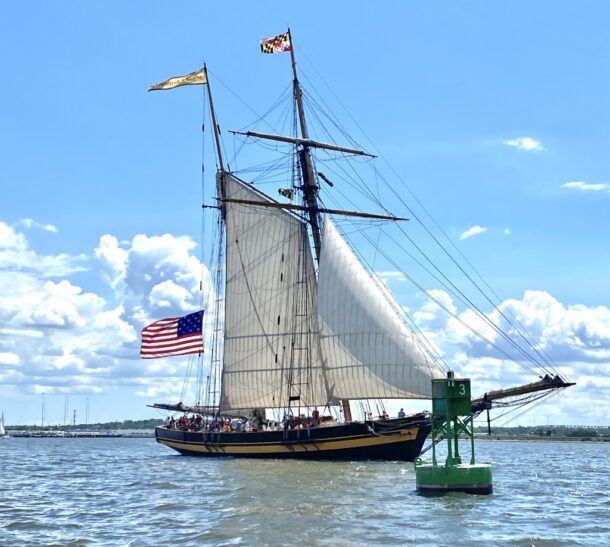 Sunset Sail  Visit Baltimore