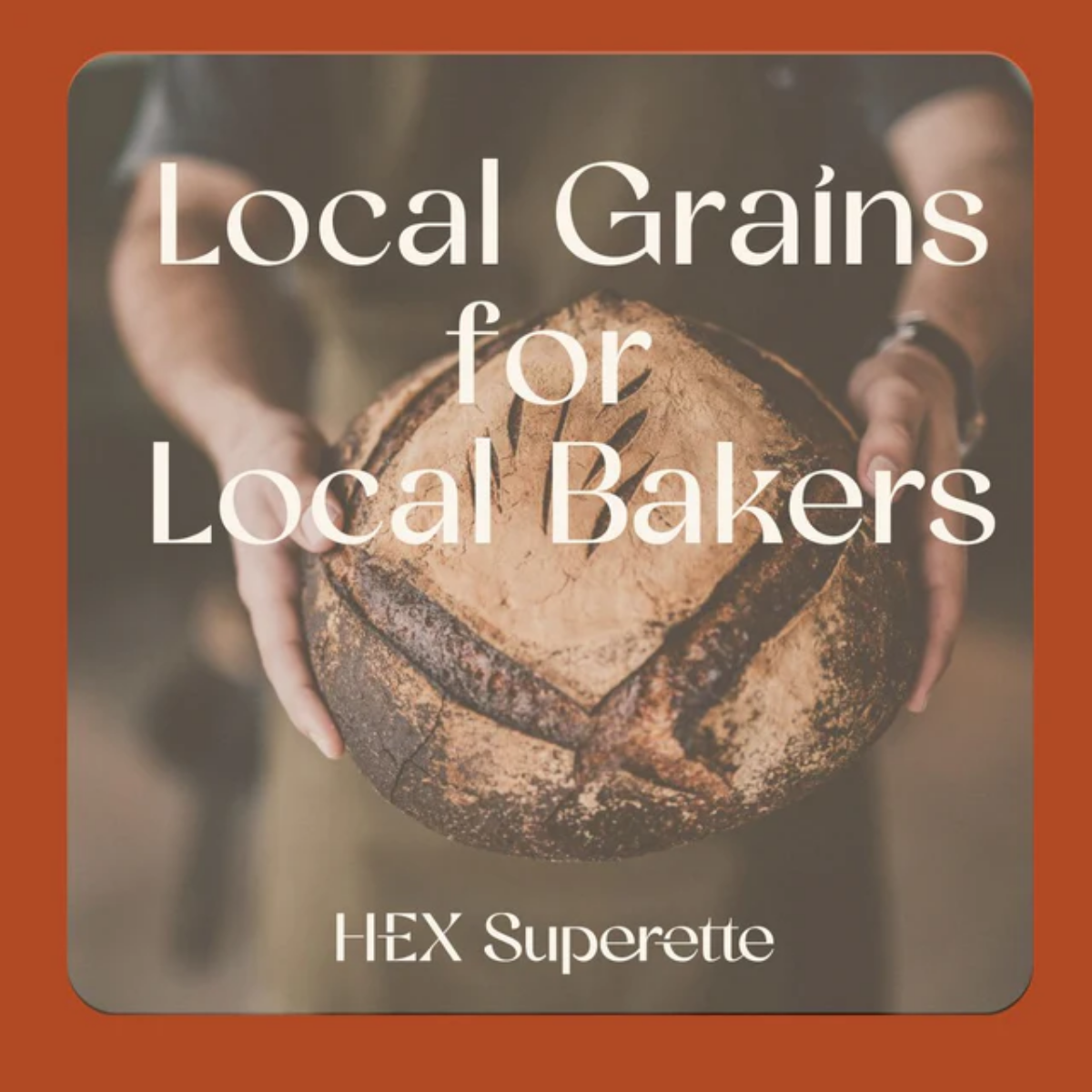 Local Grains for Local Bakers poster