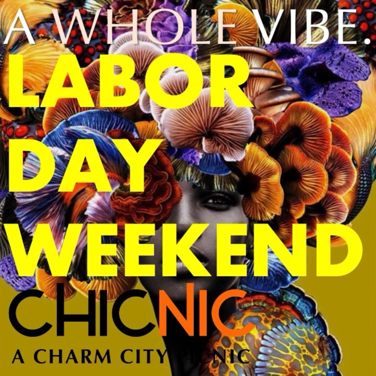 Charm City Chicnic poster
