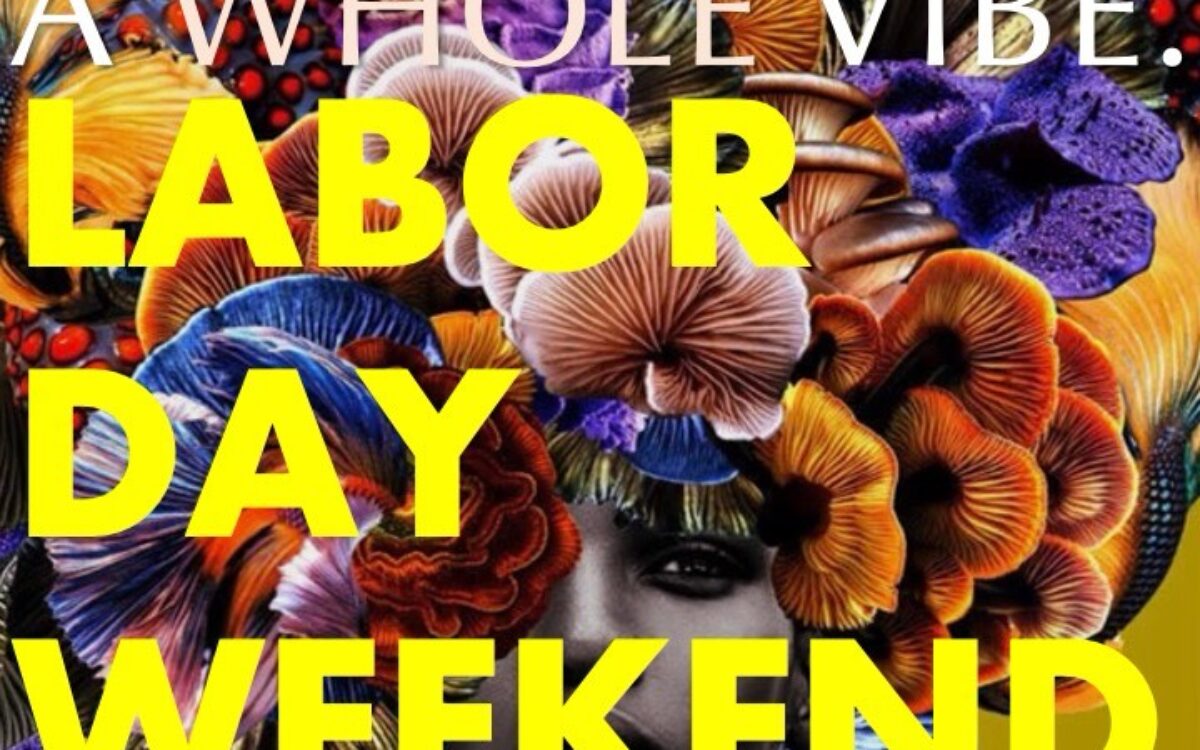 Charm City Chicnic poster