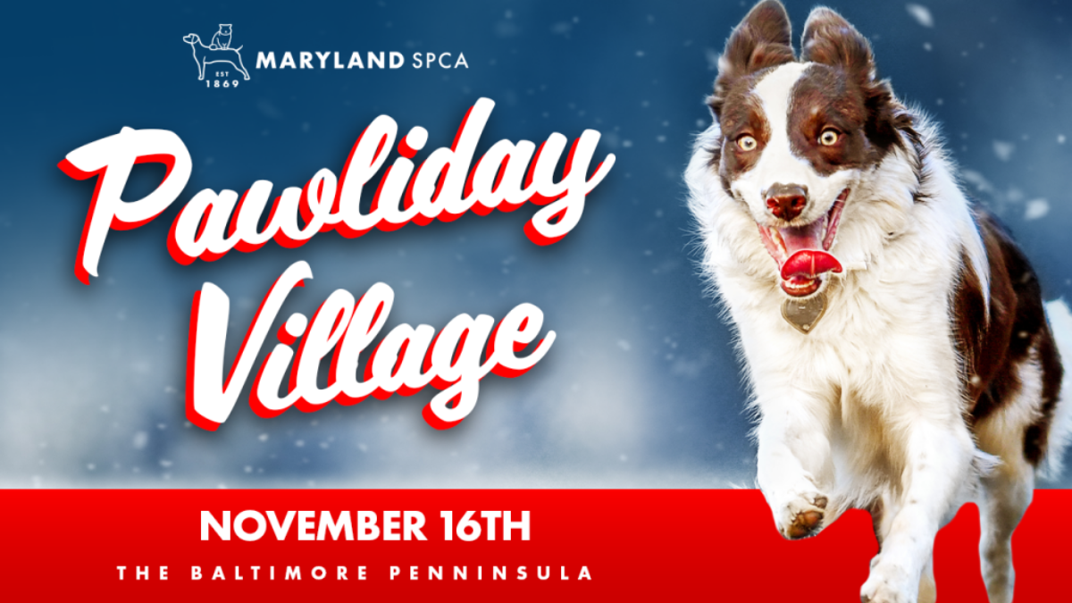 2nd Annual Pawliday Village poster