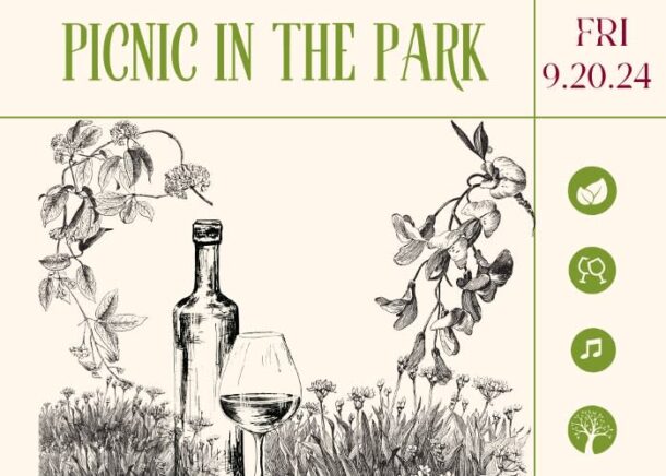 Picnic in the Park poster