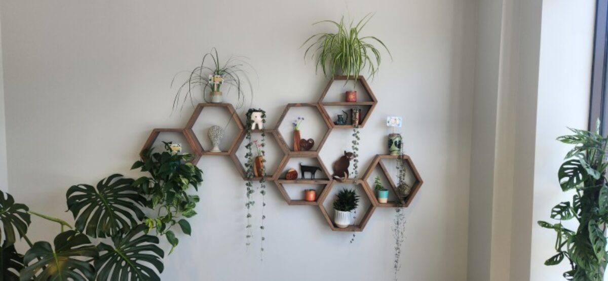 Gardenista Creations